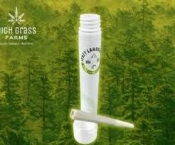 Jerzy Landscapes Apples and Bananas Pre-Roll 1g