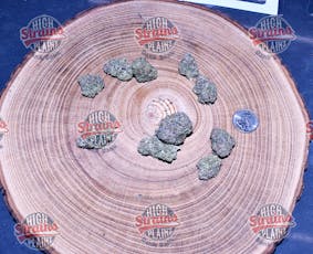 High Plainz Exotic Reserve Ze Chem Exotic Reserve Shelf Bulk