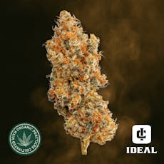 Ideal Cannabis Dosi BX Premium Whole Flower 1/8oz