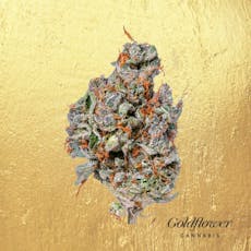 Goldflower Black Brulee Premium Whole Flower 1/8oz