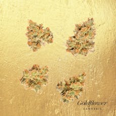 Goldflower Watermelon Gelato Small Buds 1/8oz