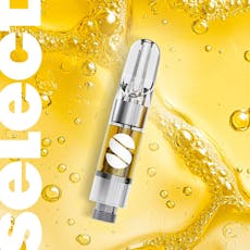 Curaleaf Select Elite NYC Diesel Cartridge 0.5g