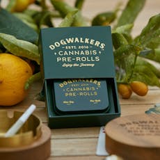 Dogwalkers (Stay) Afternoon Delight #4 - Pre Roll Multi-Pack 1.75g 5 PACK