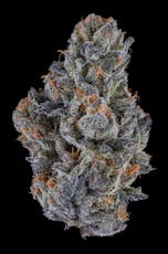 Noble Valley Oh-Asis #1 Pre-Pack 7g