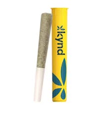 Kynd Sherb Cream Pie Pre-Roll 1g