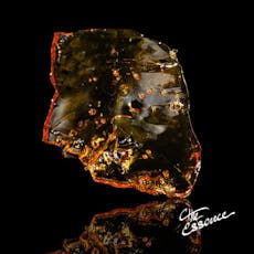 (the) Essence Silver Project Shatter 1g