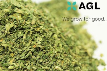 AGL Animal Scout #10 Ground Flower 28g