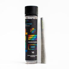 Dank Rainbow Sherbert Joint 1g