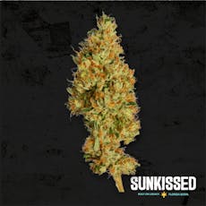 Sunkissed Candy Truffles Premium Whole Flower 1/8oz