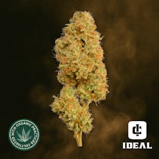 Ideal Cannabis Legend of Jack Premium Whole Flower 1/8oz