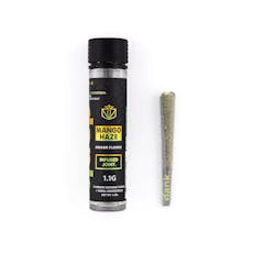 Dank Mango Haze Infused Preroll 1.1g