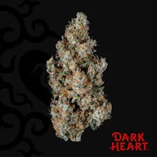 Dark Heart Titan Express Whole Flower 14g