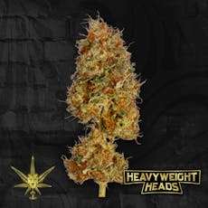 Heavyweight Heads Cream Soda x Lemon (22.1%THC) Premium Whole Flower 1/8oz