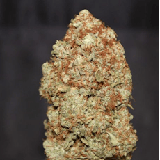 Northpark Fog Dog Flower 3.5g