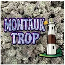Out East Canna Gas Power OG 14g