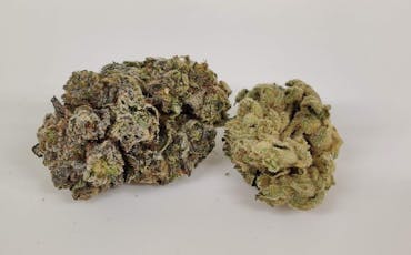 Blossom Flower Green Apple Tangie 7g