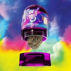 Wizard Trees Rainbow Runtz 3.5g