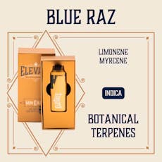 Elevate Blue Raz Min-E-Bar Distillate AIO 1g