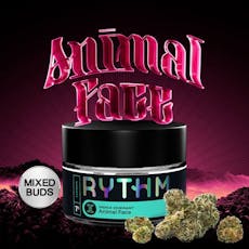 RYTHM Animal Face Pre-Pack (Buds) 3.5g