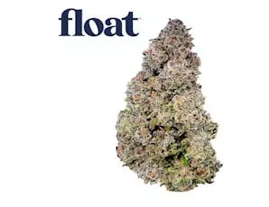 Float Powerline Punch 3.5g