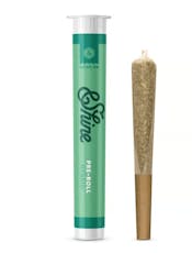 &Shine Chem Scout '87 Pre-Roll 1g