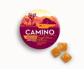 Kiva Pineapple Habanero Camino Gummies 5mg ea | 20-Pack