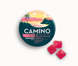 Kiva Camino Watermelon Lemonade Gummies 5mg ea | 20-Pack