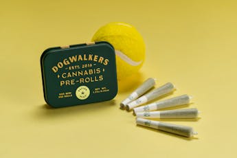 Dogwalkers L'Orange Pre-Roll Packs 0.35g ea | 5-Pack