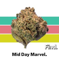 Find. Mid Day Marvel Whole Flower 3.5g