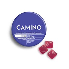 Kiva Camino Wild Berry Gummies 5mg ea | 20-Pack