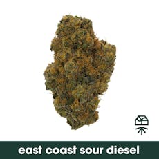 East Coast Sour Diesel 3.5g, Whole Flower
