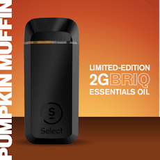 Pumpkin Muffin 2g, BRIQ