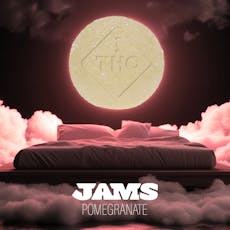 Pomegranate 10mg ea | 10-Pack, Fast-Acting Fruit Chew