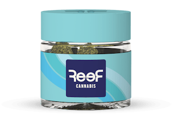 Reef Pineapple Donut Smalls 3.5g