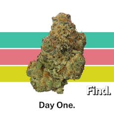 Day One 3.5g, Whole Flower