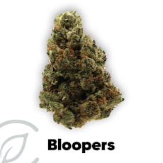 Bloopers 3.5g, Whole Flower