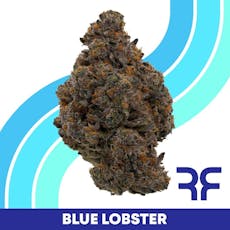 Blue Lobster 1g, Whole Flower