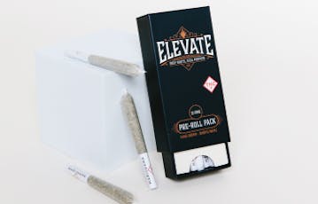 Elevate Headband Cookies Pre-Roll Pack 0.5g ea | 10-Pack