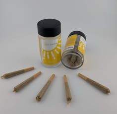 Triangle Irene 0.4g ea | 5-Pack, Pre-Roll Pack