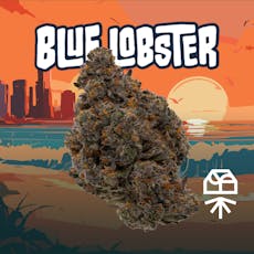 Grassroots Blue Lobster Whole Flower 7g