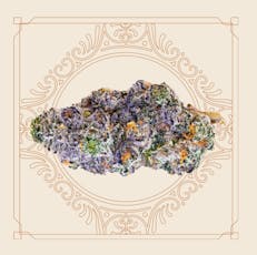 Elevate Black Maple Whole Flower 3.5g