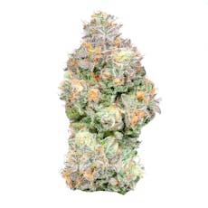 Zpectrum 1g, Pre-Roll