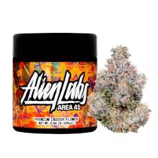 Dark Web 3.5g, Whole Flower