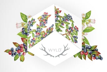 Wyld Huckleberry Gummies 10mg ea | 10-Pack