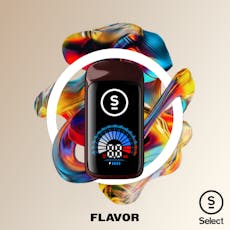 Select Flavor Series Baja Smash BRIQ 2 2g