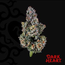 Dark Heart Triple Stack Whole Flower 3.5g