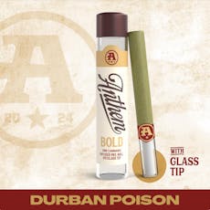 Anthem Bold Durban Poison Glass Tip Infused Pre-Roll 1g