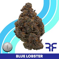 Reef Blue Lobster Whole Flower 1g