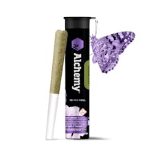 Alchemy Permanent Sunset Pre-Roll 1g