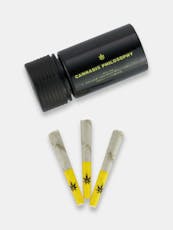 Cannabis Philosophy Magic Infused Pre-Roll Packs 0.35g ea | 3-Pack